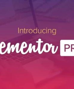 Elementor PRO WordPress Page Builder + Pro Templates 3.30.1